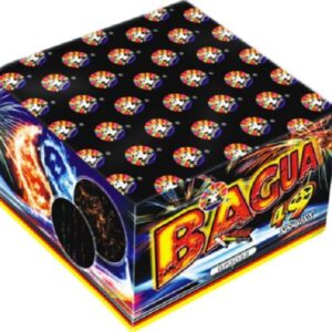 Bagua
